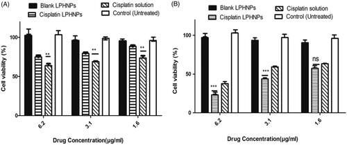 Figure 3. Cytotoxicity profile of cisplatin loaded LPHNPs and drug solution and blank LPHNPs after 24 hr (A) and 48 hr (B). All results indicate mean ± SD, n = 3. *p < .05, **p < .01, ***p < .001.