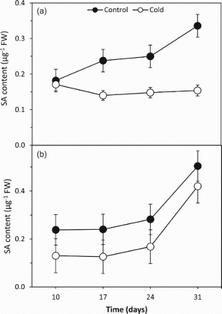 Figure 6. The effects of cold treatment on endogenous SA content in the leaves of two barley cultivars differing at cold tolerance. (a) Cold-tolerant cultivar; Tokak and (b) Cold-sensitive cultivar; Akhisar. Each datum is the average of six independent samples (n = 6). Values in a group followed by the same letter are not statistically different at P < .05 level as determined by Duncan's Multiple Range Test. Each value in the graph shows the average of three experiments. Vertical bars represent ± SE.