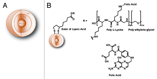 Figure 8. (A) General scheme of core shell Fe3O4@Cu@Au nanoparticles. (B) Schematic representation of Fe3O4@Cu@Au-LA-PLL-PEG-folic acid nanoparticles.