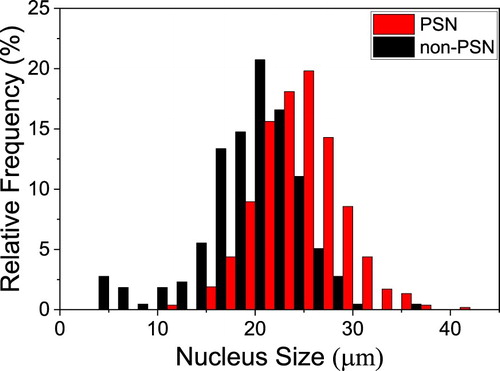 Figure 3. Size distribution of nuclei classified as PSN and non-PSN nuclei. There are 525 PSN and 217 non-PSN nuclei in the distributions.