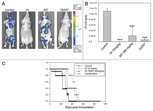 Figure 6 Treatment of mice inoculated i.c. with LCC6WT-luc cells with single agent or a combination of Dt (10 mg/kg Q7D × 4) and the ILK inhibitor QLT0267 (QD × 28). LCC6WT-luc cells were inoculated i.c. (see Materials and Methods) and then treated with vehicle control, Dt (10 mg/kg), QLT0267 (200 mg/kg) or the combination of QLT0267/Dt. BLI was obtained as described in the Materials and Methods 21 days after tumor cell inoculation (representative images have been provided in (A). Total light emission from tumors in animals was quantified at that time (B) and single agent or combination treatment was significantly less when compared to controls (p < 0.0001). Survival curves (C) were generated based on the time when animals needed to be terminated due to overall health status. If animals were terminated due to health status the following day was recorded as the time of death. Results were obtained using at least five mice per treatment group. Log rank statistical analysis of survival data indicated p < 0.003.