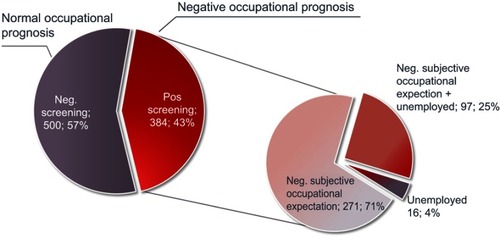 Figure 1 Proportion of patients with negative occupational prognosis according to Würzburger Screening in CR.