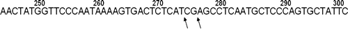 Figure 2.  Sequencing result of patient 39 who suffered DVT postoperatively. There was not a G-to-A mutation in the 20210th position (276th in the figure), but a G-to-T mutation in the 20208th position (274th in the figure) was found. AT of the patient was 117% preoperatively, and 89.8% postoperatively.