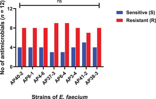 Figure 6. Strains of E. faecium showing resistance and sensitivity against the selected antimicrobials. Data were analysed through Chi-Square test, statistically significant (P < .05), whereas ns indicates non-significant.