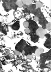 Fig. 5 Autoptic frontoparietal cortex. Detail of putative GRODs associated with neutral lipids. TEM. Original magnification, × 18,000.