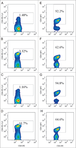 Figure 3. Flow cytometric analysis of peripheral CD8+ and CD4+ (T)lymphocytes. (A-D) Splenocytes from HLA-A11/DR1 mice (A), HLA-A11 mice (B), HLA-DR1 mice (C), and wild-type C57BL/6 mice (D) were isolated. CD3+ T lymphocytes were gated by staining with an FITC-anti-CD3 mAb and CD8+ T lymphocytes were gated by staining with a PEcy5-anti-CD8 mAb. (E-H) Splenocytes from HLA-A11/DR1 mice (E), HLA-A11 mice (F), HLA-DR1 mice (G), and wild-type C57BL/6 mice (H) were isolated. CD3+ T lymphocytes were gated by staining with a PE-anti-CD3 mAb, and CD4+ T lymphocytes were gated by staining with an APC-anti-CD4 mAb.