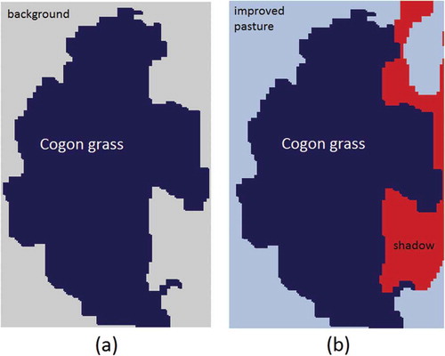 Figure 2. Two options for generating training samples: (a) option I labels the surrounding pixels as background regardless of their actual class types and (b) option II labels all the pixels with their true labels.