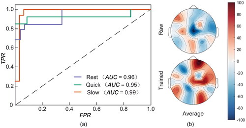 Figure 5. (a) Receiver operating characteristic curves (ROC) for classifying SI by STformer. The x-axis represents the false positive rate (FPR) and the y-axis represents the true positive rate (TPR). (b) Average brain activation maps for raw EEG data and trained registration data.