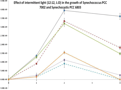 Fig. 3(a). Effect of intermittent light in the growth of selected cyanobacteria. Data indicated that Synechococcus PCC 7002 was growing faster than Synechocystis PCC 6803 in all light intensities tested. In contrast, Synechocystis PCC 6803 appeared to show better overall growth under high light intensities, when compared to Synechococcus PCC 7002. Error bars indicate standard deviation (n = 3).