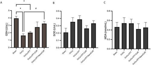 Figure 4. Markers of antioxidant enzyme activity and lipid peroxidation in the rat plasma treated with cisplatin or cisplatin-curcumin or cisplatin-nanocurcumin as shown by (A) GSH, (B) SOD and (C) MDA. N = 5 rats per group; *p < 0.05 vs. Sham; #p < 0.05 vs. OvCa.