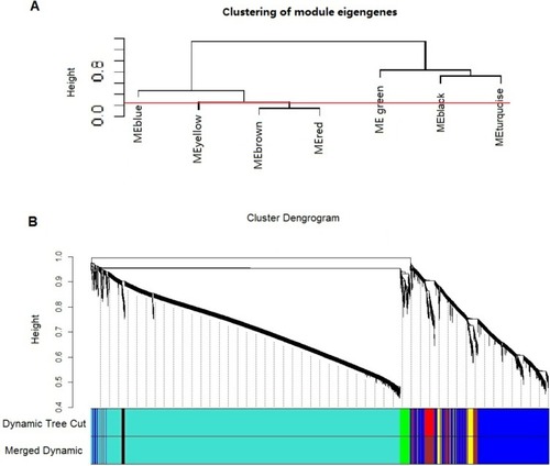 Figure 2 Construction of co-expression modules using WGCNA. (A) Cluster dendrogram of module eigengenes. (B) Dendrograms of differentially expressed genes clustered based on dissimilarity measures (1-TOM). Each short vertical line represents one gene, and the area of each color signifies the number size of each cluster of co-expression modules.