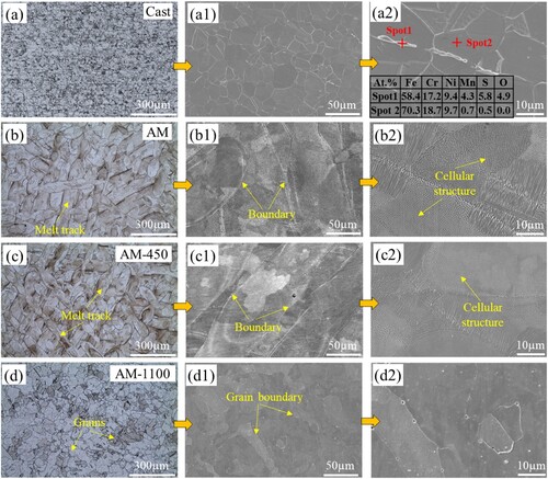 Figure 1. Optical and SEM micrographs of the etched sample surfaces: (a, a2) Cast, (b, b2) AM, (c, c2) AM-450, (d, d2) AM-1100 samples.