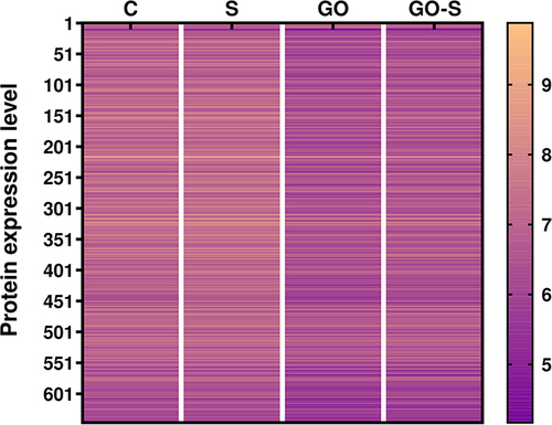 Figure 6 Heatmap representation of protein expression changes identified through the mass spectrometry analysis of HSkM cells in the control group (C) and after 24 hours of treatment with S protein (S), graphene oxide (GO), and S protein with GO (GO-S); the heatmap only included 667 proteins with significantly altered expression levels identified in the mass spectrometry results analysis using the Peaks Q software; the results are presented as log10 values.