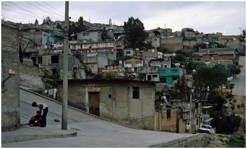 Figure 2. Lomas de San Agustín, Mexico City, 1982. Source: author’s photograph.