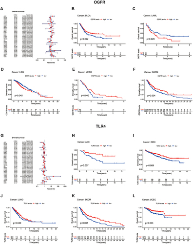 Figure 6 Analysis of prognostic values of OGFR and TLR4 in pan-cancer (TCGA) using forest and K-M plots.