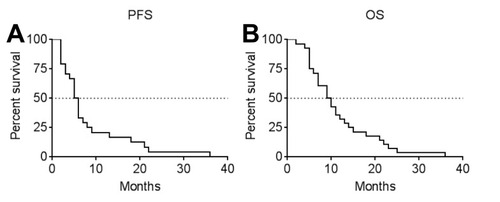 Figure 2 Kaplan-Meier estimates of PFS (A) and OS (B) of 28 patients with epithelial ovarian cancer after apatinib treatment.