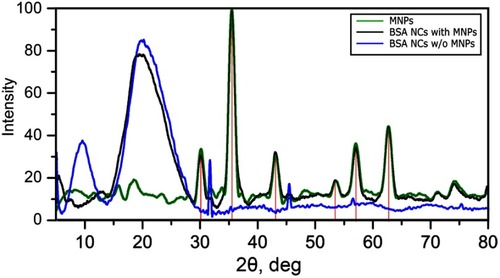 Figure S2 XRD spectra of pure MNPs (green line), BSA NCs with MNPs (black line), and BSA NCs without MNPs. Red lines show references to JCPDS file No. 19-0629 (XRD pattern for magnetite). Peaks attributed to NaCl traces were found in the sample of BSA NCs without MNPs.Abbreviations: XRD, X-ray diffraction; BSA, bovine serum albumin; NCs, nanoclusters; MNPs, magnetite nanoparticles; JCPDS, The Joint Committee on Powder Diffraction Standards.