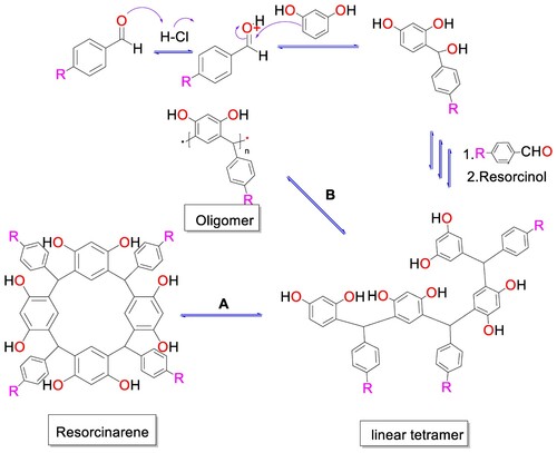 Figure 4 . Formation of cyclic tetramer (route A) or oligomers (route B)