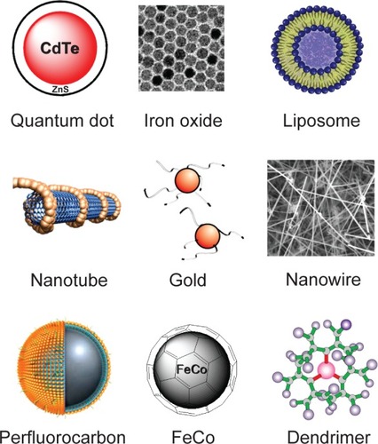 Figure 1 Many nanoparticles have been investigated for biomedical applications targeting cancer.