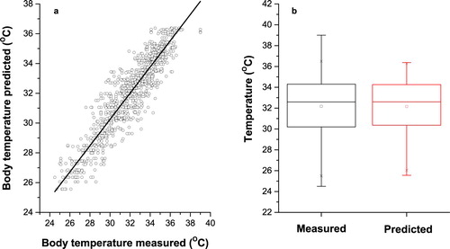 Figure 6. Measured and predicted pig’s body temperature in Elman neural network for Tan-sigmoid transfer function with 20 neurons in hidden layers. (a) Scatter plot of measured and predicted pig’s body temperature. (b) Box plot of measured and predicted pig’s body temperature.
