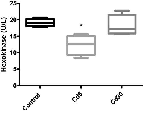 Figure 7. Effect of cadmium on hexokinase activity in the heart. Hexokinase activity reduced significantly (*p < 0.05) in the Cd5 group when compared with the control while the activity was not statistically different in the Cd30 group as against the control.