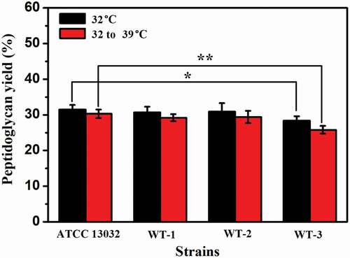 Figure 6. The results of peptidoglycan content in ATCC 13032 and recombinant strains. Peptidoglycan yield (%) = (extracted peptidoglycan quality/pre-extraction dry cell weight) X 100. The significant difference between the data from each recombinant strain and ATCC 13032 was analyzed. * indicates p < 0.05, ** indicates p< 0.01.