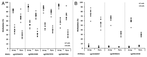 Figure 6. Representative plots displaying validation of multiple array CpGs within two candidate genes by sodium bisulfite pyrosequencing analysis. Four CpGs within the RNH1 gene (A) and three within PITPNC1 (B), all of which demonstrated significant differences in methylation between T-lymphocytes and B-lymphocytes by array analysis, were examined. T- and B-lymphocytes are shown as circles and crosses, respectively. CpG identifiers are shown on the x-axis. In each case, the first site shown for RNH1 (A) and PITPNC1 (B) is the site depicted in Fig. 5A and B, respectively. For each site, methylation values are shown for the array (left) and pyrosequencing (right). The mean values are defined by the horizontal black bar in each case. The CpG sites are displayed in the 5′ to 3′ direction, with the four sites in RNH1 covering 20-bp and three sites in PITPNC1 covering 45-bp. The methylation differences observed between T-lymphocytes and B-lymphocytes by pyrosequencing analysis were statistically significant for each of the CpGs in each gene examined (P < 0.01, Wilcoxon Signed-Rank Test). Abbreviations: Pyro., bisulfite pyrosequencing.
