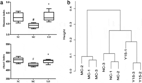 Figure 3. The effect of L. plantarum Y15 supplementation on gut microbiota α-diversity and β-diversity. (a) Shannon and Chao 1 index; and (b) Hierarchical clustering tree of Bray-Curtis distances. Values are mean ± SD (n = 3 independent experiment). # P < .05: significantly different compared with the NC group; * P < .05: significantly different compared with the MC group.Figura 3. Efecto de la suplementación con L. plantarum Y15 en la diversidad α y β de la microbiota intestinal. (a) Índice de Shannon y Chao 1; y (b) Árbol de agrupación jerárquica de las distancias Bray-Curtis. Los valores son la media ± DE (n = 3 experimentos independientes). # P < .05: significativamente diferente en comparación con el grupo NC; * P < .05: significativamente diferente en comparación con el grupo MC