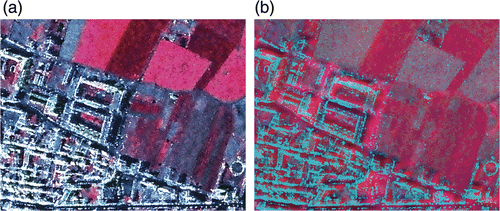 Figure 5. Fused multispectral SPOT 5 2005 image using Brovey (a) and PC (b) in the band combination 3 (near infrared), 2 (red), and 1 (green).
