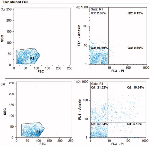 Figure 11. Flow cytometry analysis of HT29 cell line. B) Untreated control samples D) AgNPs treated samples. A and C represent the entire content of the cells. The bottom left square: live cells, top left square: early apoptosis, bottom right square: necrosis, upper right square: delayed apoptosis. In the samples treated with AgNPs, the cells enter to early apoptosis (15.64%) and delayed apoptosis (21.32%).