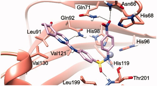 Figure 1. 3/hCA IX theoretical complex (PDB 5FL4) computed by docking calculations. The protein is shaded in salmon and all the critical residues are labelled. The ligand is shown in pink colour while the H-bonds are shown in black dashed lines.