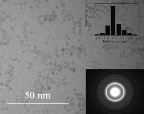 Figure 6.  TEM image of platinum nanoparticles that are stabilized in the presence of ionic liquids (29). Reprinted with permission from Elsevier © 2009.