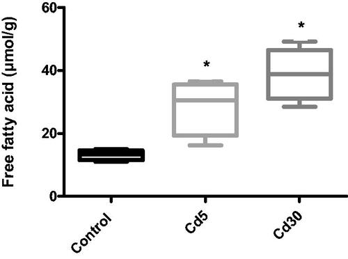 Figure 9. Effect of cadmium on cardiac free fatty acid level. The free fatty acid level in the heart increased significantly with an increasing dosage of cadmium when compared with the control (*p < 0.05).