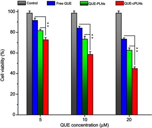 Figure 6 Cytotoxic effects of free QUE, QUE-PLNs and QUE-cPLNs on P388 cells evaluated by the relative cell viability using MTT test.Notes: Data shown as mean ± SD (n=3), paired t-test, **P<0.01, significantly different compared with each other.Abbreviations: QUE, quercetin; QUE-PLNs, quercetin-loaded polymer–lipid hybrid nanoparticles;