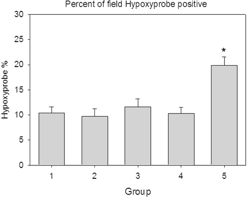 Figure 5. Area occupied by hypoxyprobe staining. The hypoxic area was higher for the AdhspmIL-12 + HT treated group as compared to all other groups. The groups mentioned in the graphs are as follows: (1) Normal saline injection, Control. Tumours collected at the same time as treatment group (5 days post- HT); (2) Ad LacZ + HT. 5 days post-HT; (3) AdhspmIL-12, no HT. Same time as treatment group (5 days post-HT); (4) Normal saline injection, HT only. 5 days post-HT; (5) AdhspmIL-12 + HT. 5 days post-HT.