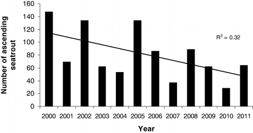 Figure 4. Number of ascending anadromous brown trout captured in the trap in the River Guddalselva in the years 2000–2011.