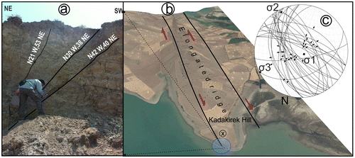 Figure 6. (a) 1939 Erzincan earthquake rupture (40°08′39.60′′N–38°15′7.14′′E), (b) elongated ridge in Master displacement Zone and (c) kinematic solution of faults at the Kadakirek hill.