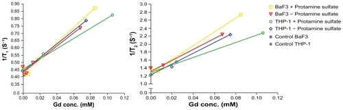 Figure 4 Relaxation of gadolinium oxide nanoparticles in THP-1 and Ba/F3 cells. Samples were either treated with protamine sulfate or not and the cells were incubated with gadolinium oxide nanoparticles in two different gadolinium concentrations for each sample (0.5 mM or 2.0 mM).Abbreviations: conc, concentration; Gd, gadolinium.