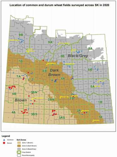 Fig. 1 Soil zone map with common and durum wheat fields surveyed across Saskatchewan in 2020