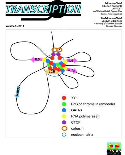 Figure 2. Cover of Transcription Volume 5.