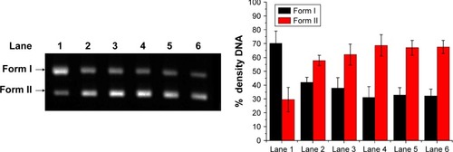 Figure 8 Electrophoretogram of supercoiled DNA plasmid pBR322 and HMCEF treated plasmid pBR322 DNA.