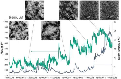 Figure 2. Graph showing the load changes in the Frogn WWTP during normal days and in rainy days. The images represent the typical floc structures for those particular days when the image analysis installation was functioning. Numbers within the each image mean the corresponding coagulant dosages in μl/l.