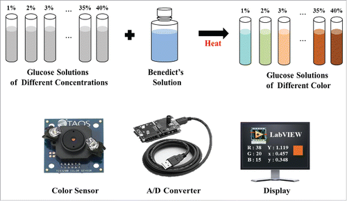 Figure 4. Procedure of glucose sensing.