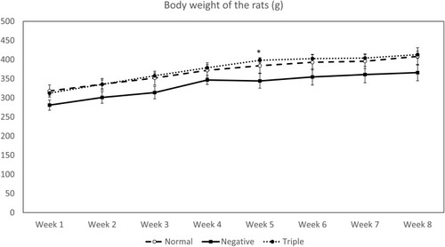 Figure 1 Comparison of the body weight between groups across the study period.