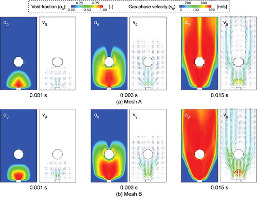 Figure 9. Numerical results of water vapor discharging into sodium pool (variation of void fraction and gas-phase velocity).