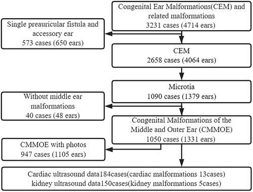 Figure 1. Sample library combing diagram of congenital ear malformation (CEM).