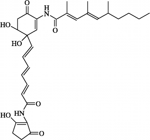 Figure 3 The structure of deoxy N98-1272C.