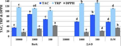 Figure 1. DPPH radical scavenging activity (% inhibition), total antioxidant capacity (TAC μg AAE/mg D.W), and reducing power (TRP μg AAE/mg D.W) of allelopathic plantlets exposed to C. stocksiana Engl bark at varying concentration along with 2,4-D and dH2O.