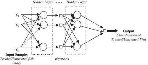 Figure 8. Process of Artificial neural network used for classification of treated and untreated fish.