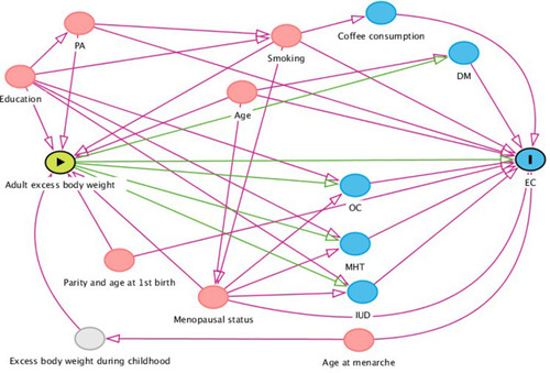 Figure 2 Directed acyclic graph (DAG) illustrating the assumptions about the causal relationship between excess body weight and endometrial cancer (EC). Red circles indicate confounders, blue circles mediators/colliders. The grey circle refers to an unmeasured variable.